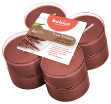 Load image into Gallery viewer, Bolsius True Scents Oud Wood Maxi-Light Candles with Clear Cups, Scented - Pack of 8
