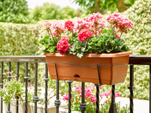Load image into Gallery viewer, Plastic Forte Railing Flower Planter for Balcony with Hanging Rail Stand, Available in different sizes
