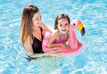 Load image into Gallery viewer, Intex Flamingo Animal Split Ring - 16.7 x 1.6 x 24.3cm
