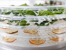 Load image into Gallery viewer, Beper Food Dehydrator - 5 Kg capacity
