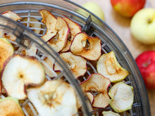 Load image into Gallery viewer, Beper Food Dehydrator - 5 Kg capacity
