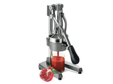 Load image into Gallery viewer, Beper Manual Lever Pomegranate &amp; Citrus Juice Presser
