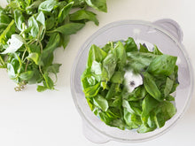 Load image into Gallery viewer, Beper Glass Chopper with 2 Speeds, 1.5L - 500W
