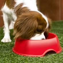 Load image into Gallery viewer, Plastic Forte Medium Pet Bowl - Available in Several Colors
