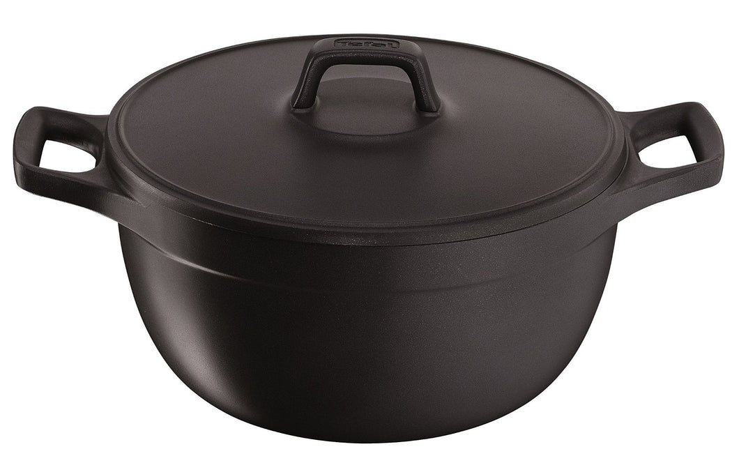 Tefal Mineral Aluminum Stewpot with Lid, 24cm
