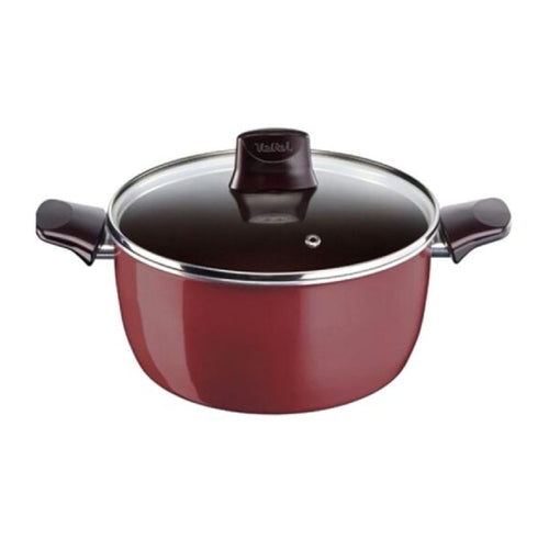 Tefal Pleasure Faitout Casseroles