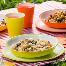 Load image into Gallery viewer, Omada Sanaliving Dinner Plate with Microban¬Æ Antibacterial- 23cm
