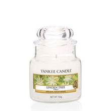 Load image into Gallery viewer, Yankee Candle Glass Jar Candle - Linden Tree
